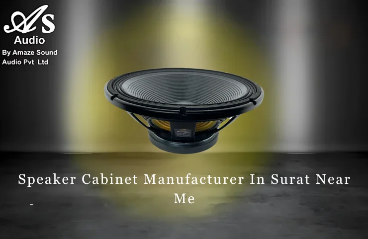 Speaker Cabinet Manufacturer In Surat Near Me