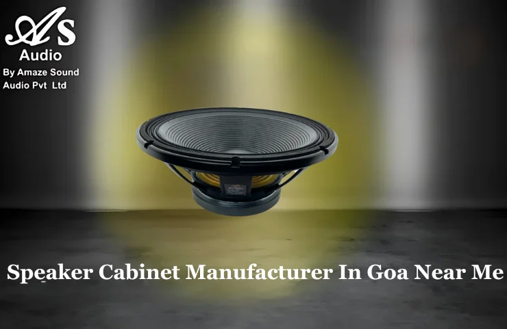Speaker Cabinet Manufacturer In Goa Near Me